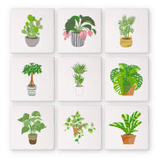 Mini Garden of Indoor Blooms