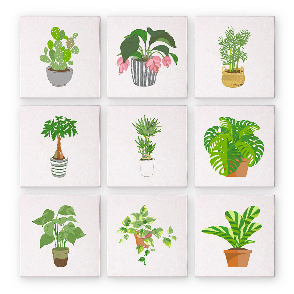 Mini Garden of Indoor Blooms