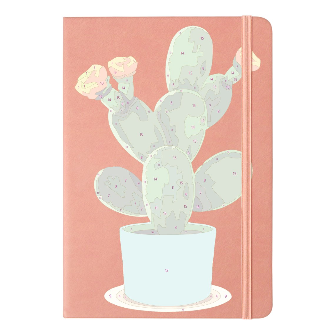 Cactus Bliss: Paint by Numbers Notebook
