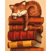 Dreamy Cat Nap