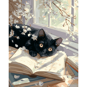 Storybook & Cherry Blossoms