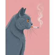 Pink-Hued British Shorthair