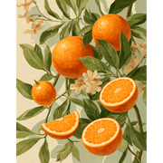 Citrus Sunshine | Paint by Number
