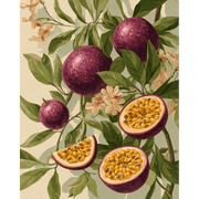 Passion Fruit Blossom
