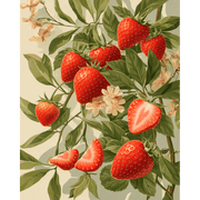 Strawberry Blossom Dreams