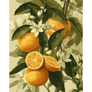 Citrus Sunrise