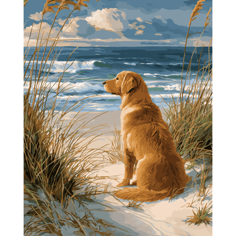Labrador by the Shore | Paint by Number