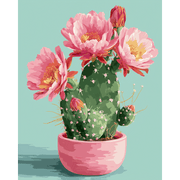 Vibrant Cactus Blooms