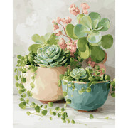 Springtime Succulents in Bloom