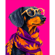 Stylish Dachshund in Glasses