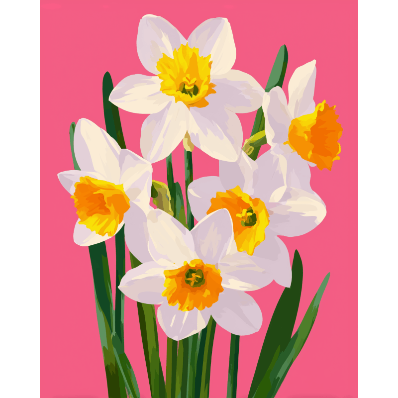 Spring Daffodils in Bloom