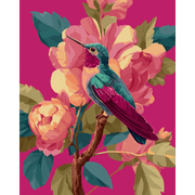 Pink Hummingbird in Flight