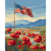 Poppy Field Under the Sky