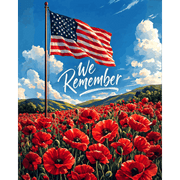 Memorial Day Field | Paint by Number