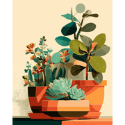 Succulent Serenity