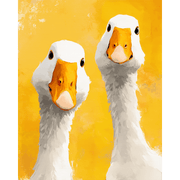 Ducks of Curiosity