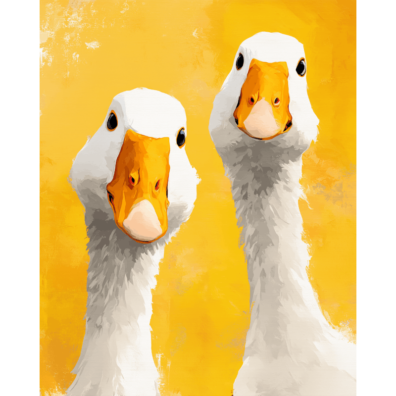 Ducks of Curiosity