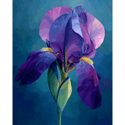 Velvet Iris Serenity