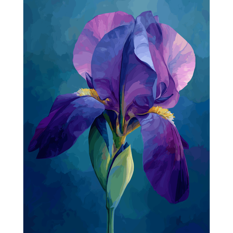 Velvet Iris Serenity