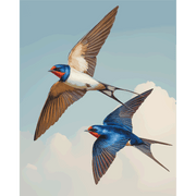 Flying Lovebirds Duo