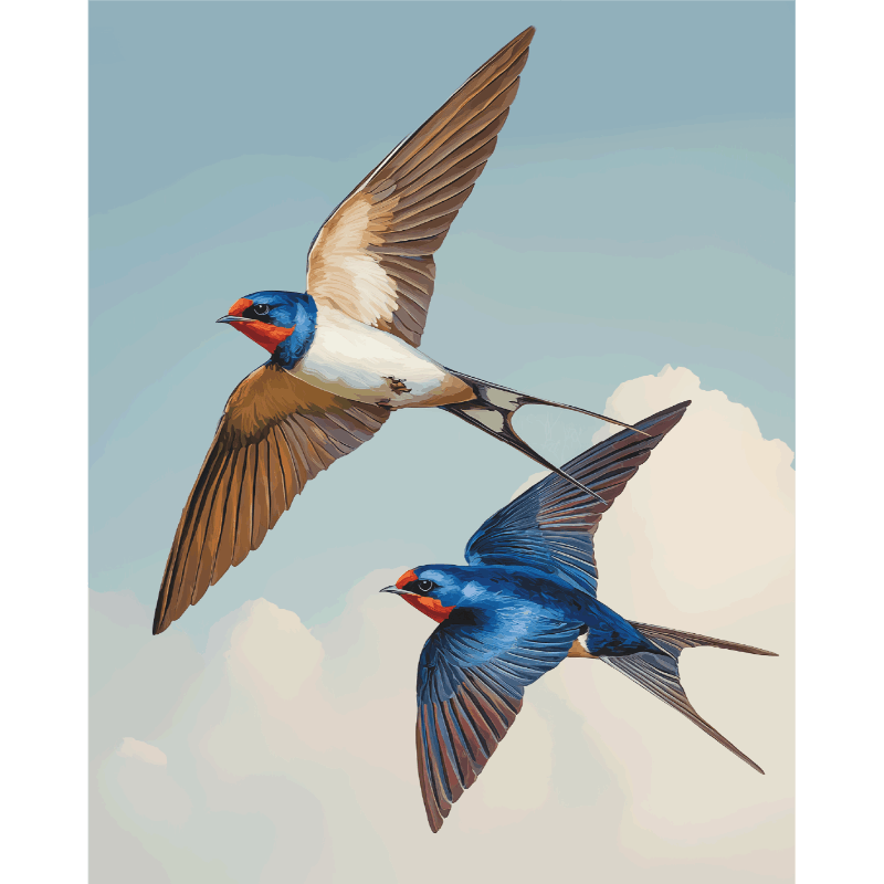 Flying Lovebirds Duo