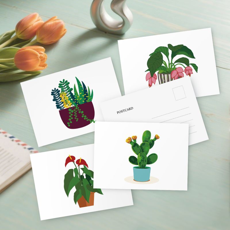Green Oasis Houseplant Postcards