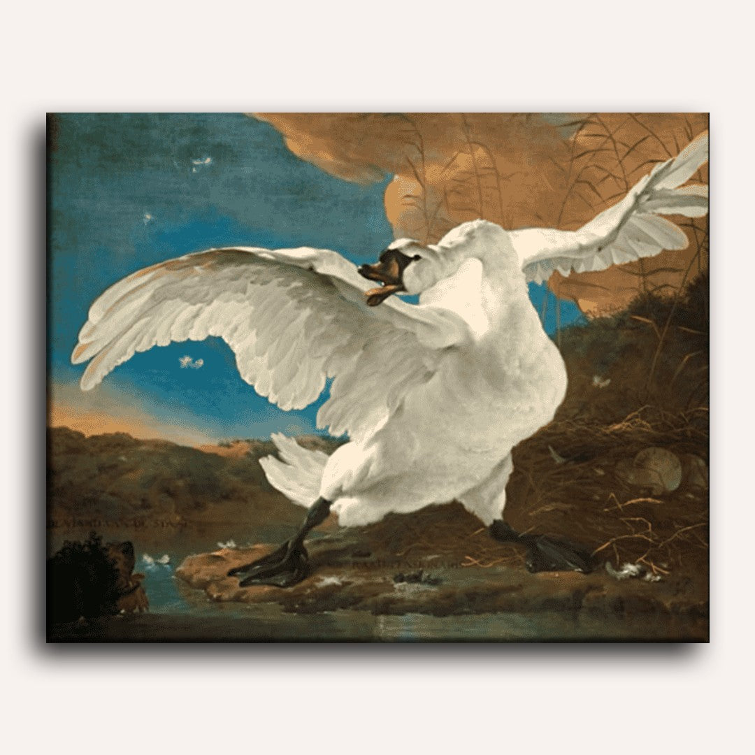 The Watchful Swan