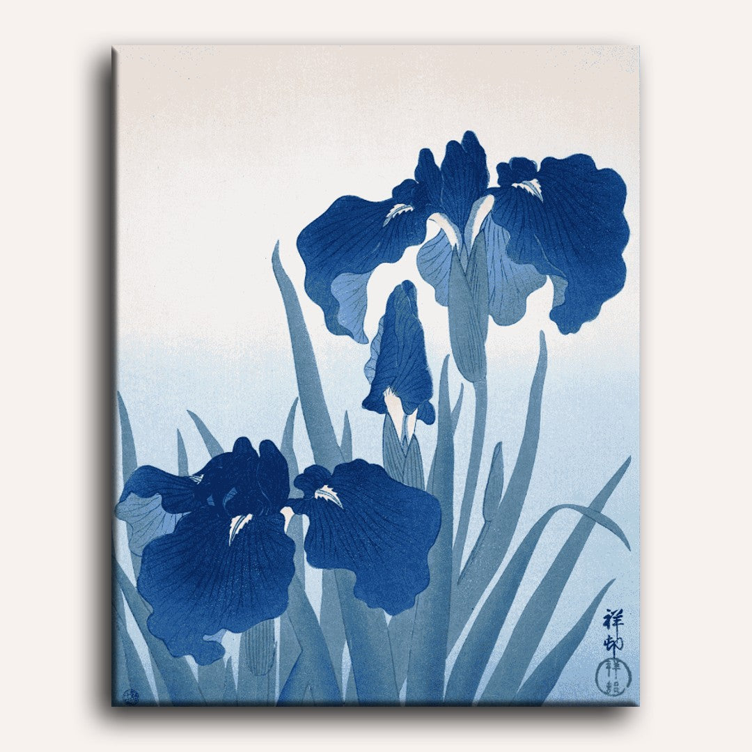 Elegant Irises in Bloom