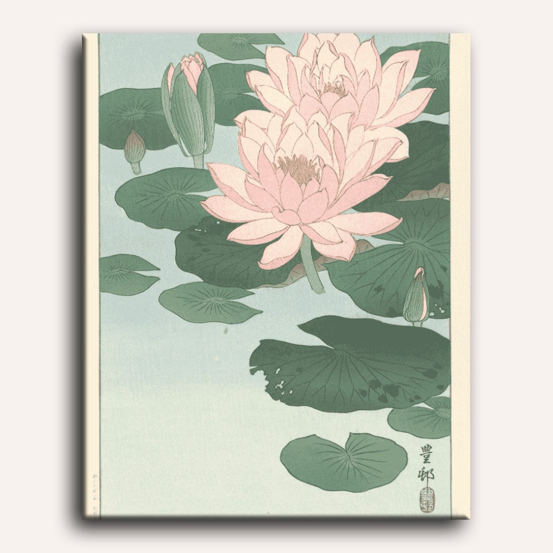 Water Lilies in Bloom