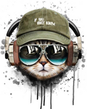 Chill Cat with Headphones