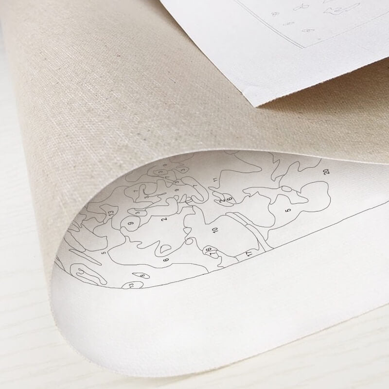 Morning Spotlights | Paint by Number