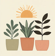 Lush Plant Trio