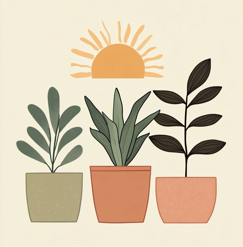 Lush Plant Trio