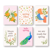 Spring Peacocks