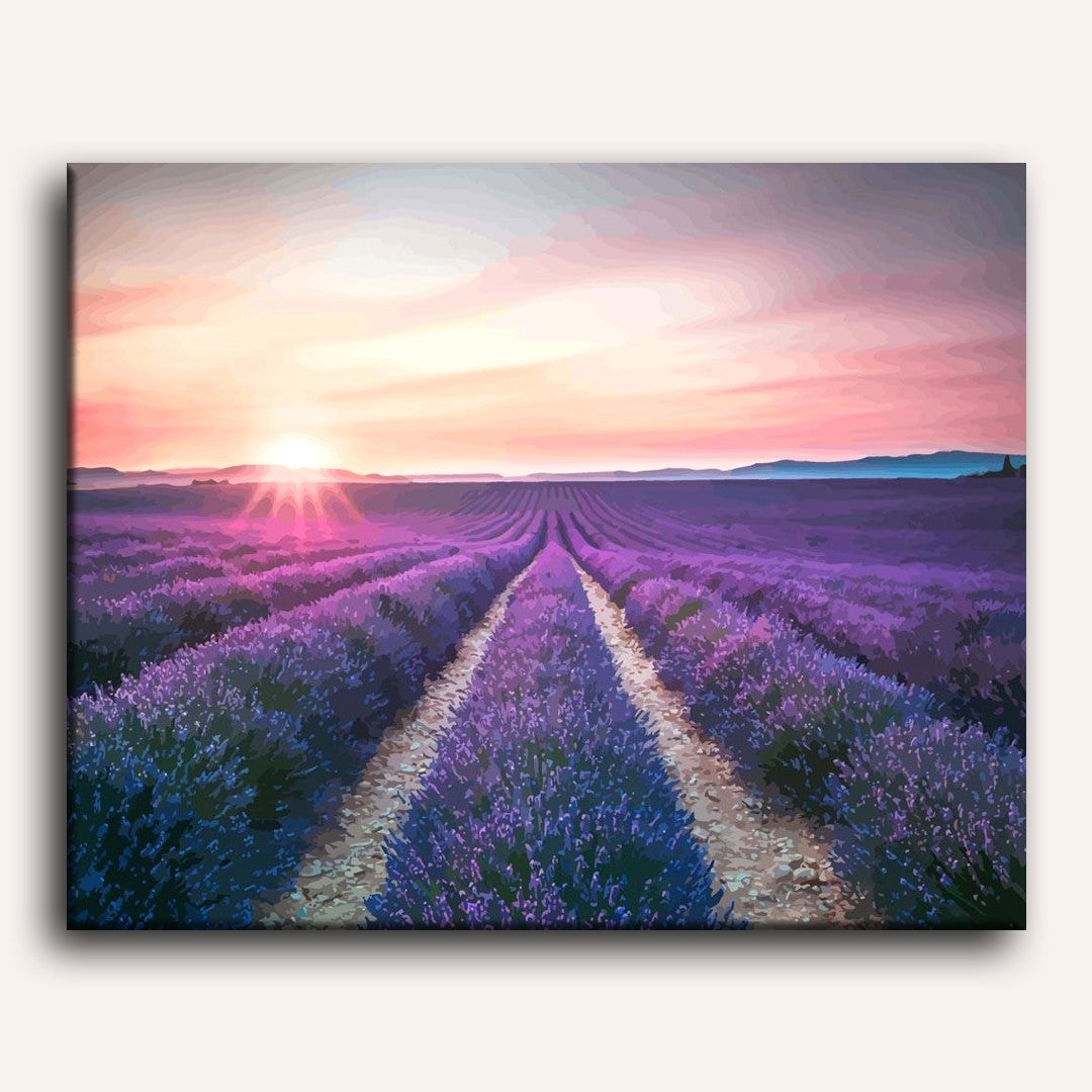 Lavender Dreams | Paint by Numbers
