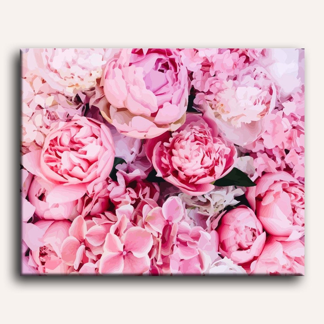 Peony Blossom Background