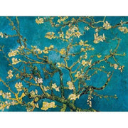 Blossoming Almond Trees in Spring