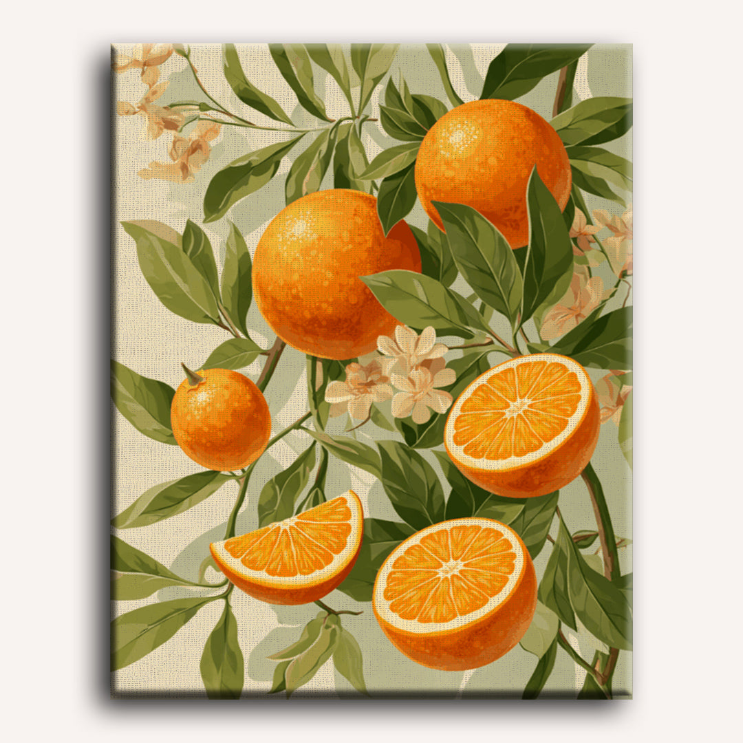 Citrus Sunshine | Paint by Number