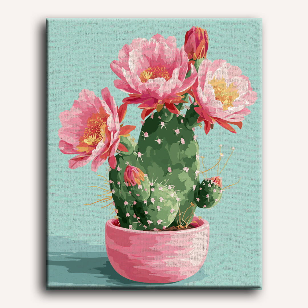 Vibrant Cactus Blooms