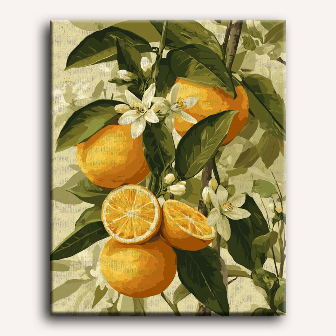 Citrus Sunrise