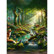 Forest Wildlife Adventure