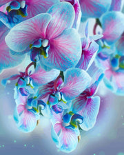 Elegant Blue Orchids | Paint by Numbers