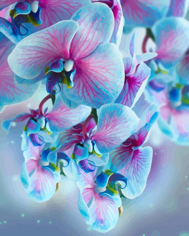 Elegant Blue Orchids | Paint by Numbers
