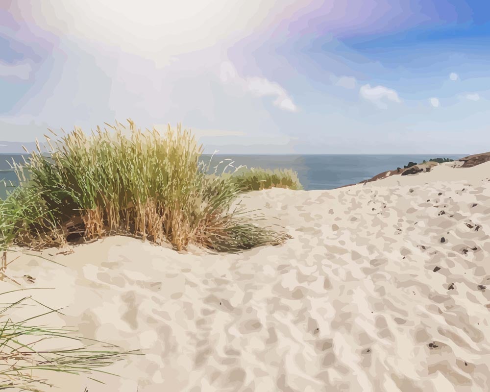 Baltic Dunes | Paint by Numbers