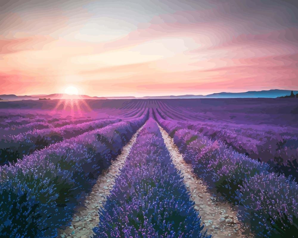 Lavender Dreams | Paint by Numbers