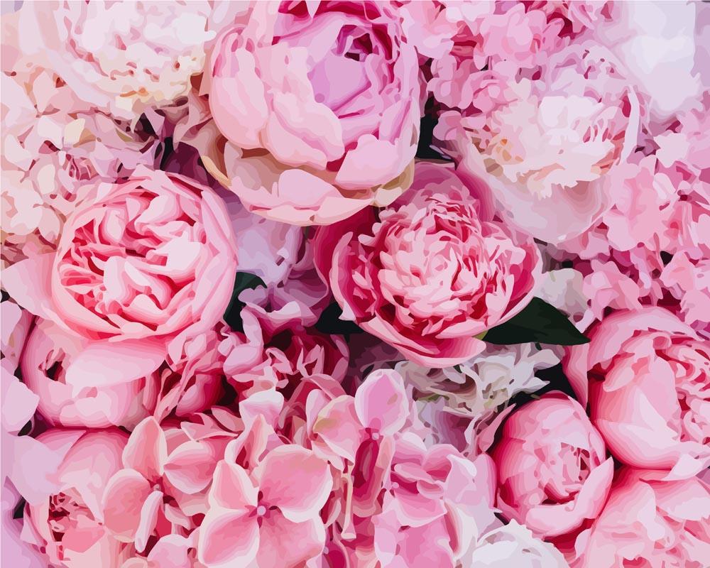 Peony Blossom Background