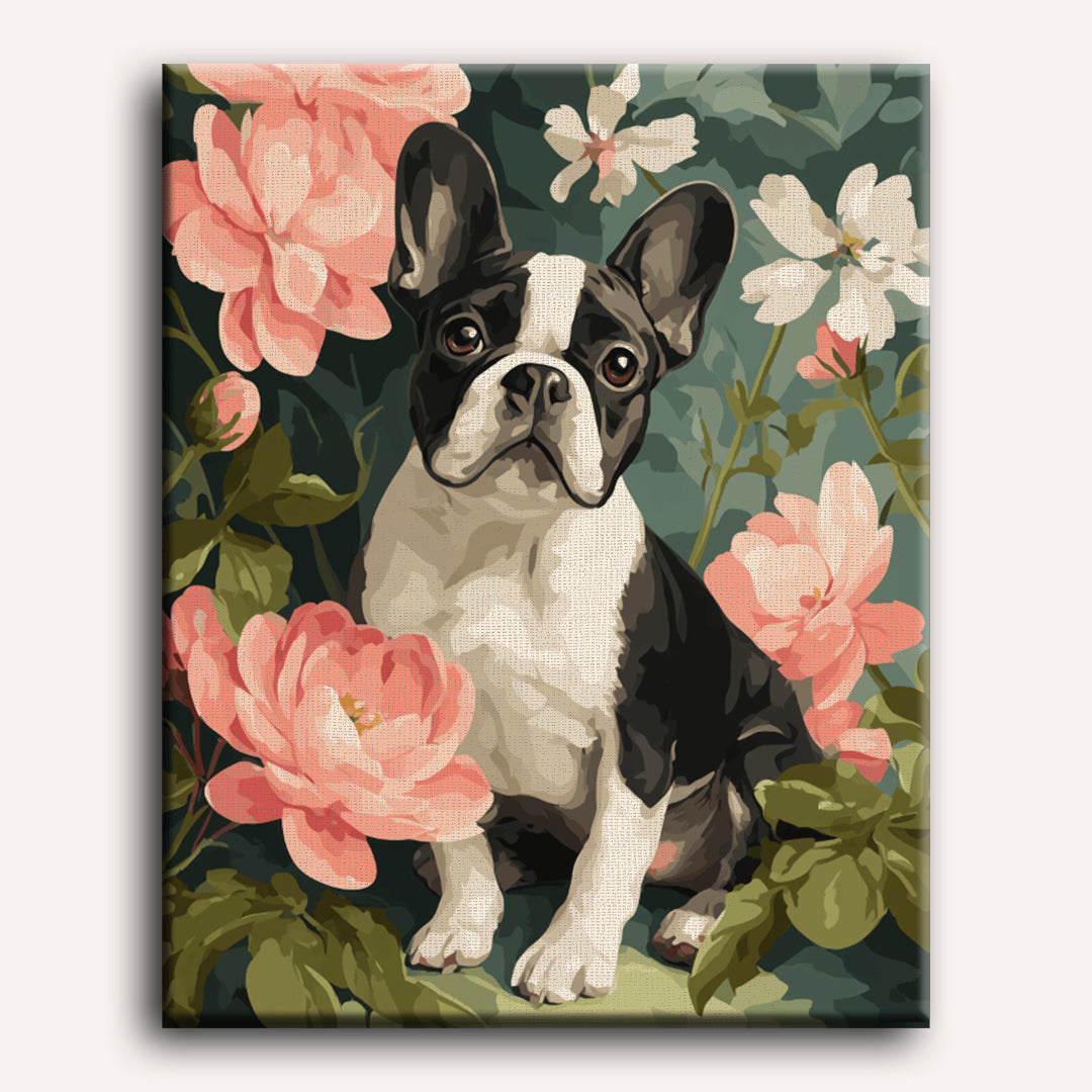 French Bulldog Charm