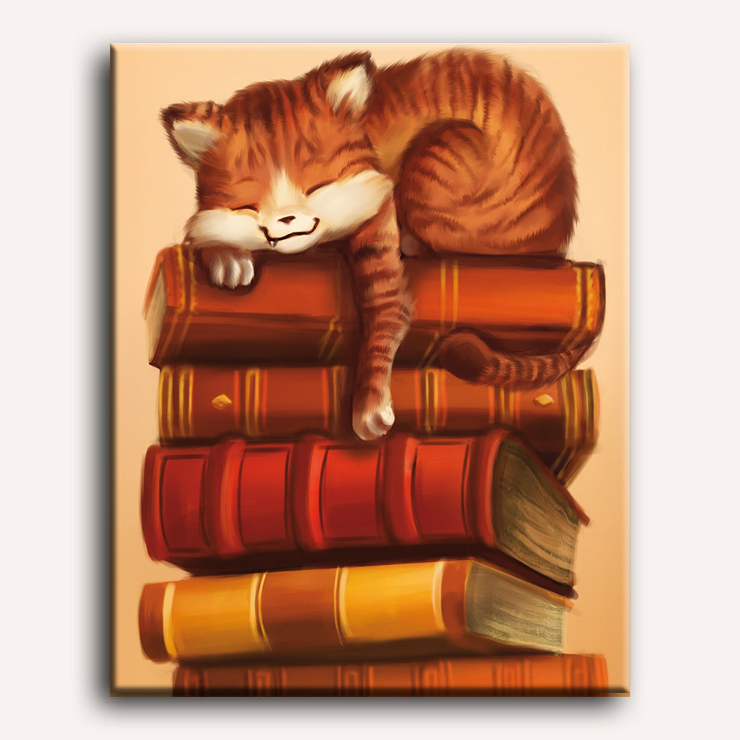 Dreamy Cat Nap
