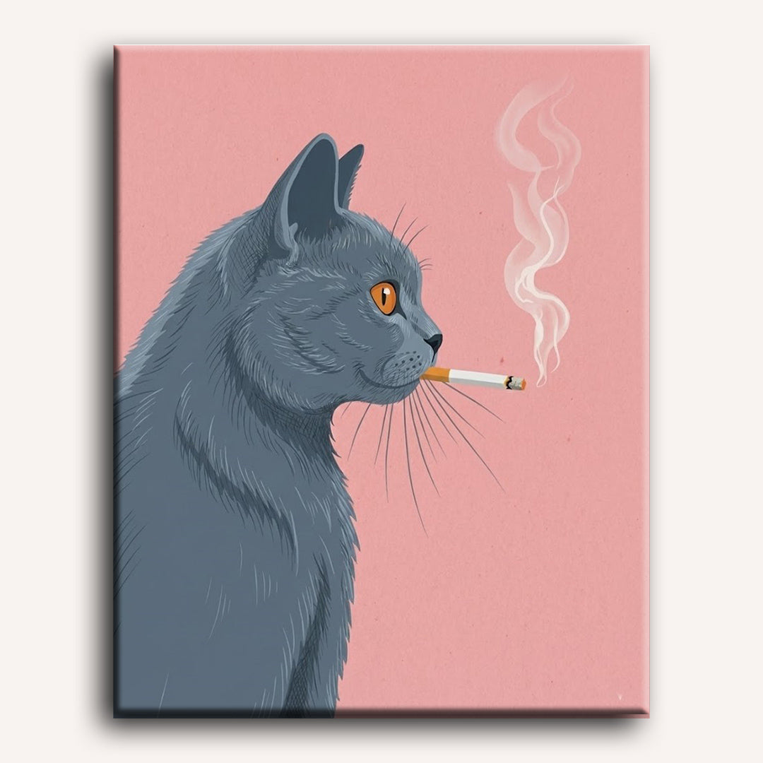 Pink-Hued British Shorthair