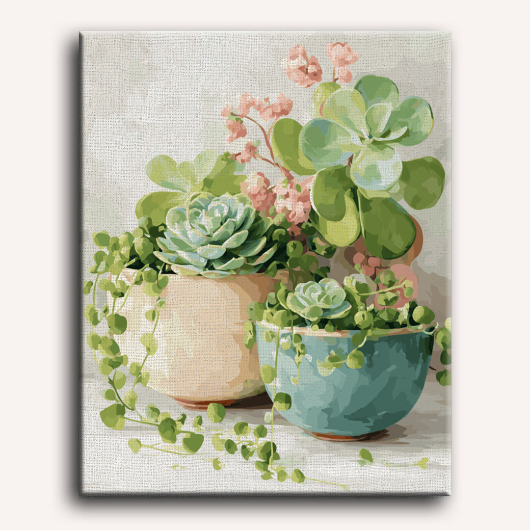 Springtime Succulents in Bloom